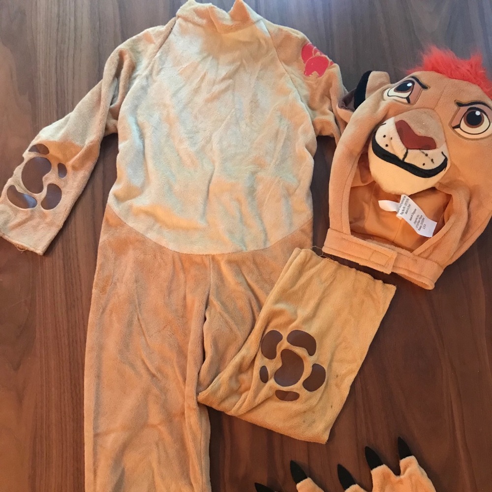 Lion Guard Costume